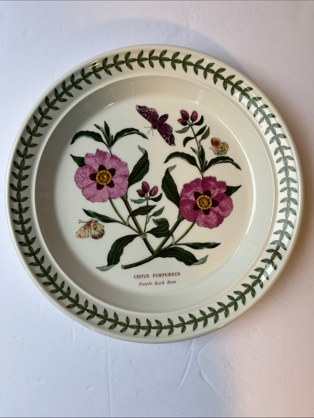 Portmeirion NWT Salad plate The Botanic Garden Cistus Purpureus Purple Rock Rose - Picture 2 of 3